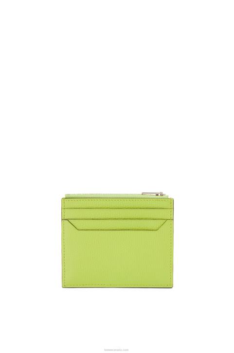 Loewe Anagram square zip cardholder in pebble grain calfskin 688V1410 Women Green Bean