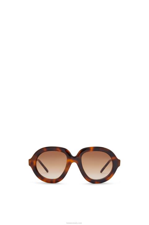 Loewe Aviator sunglasses in acetate 688V1487 Women Havana
