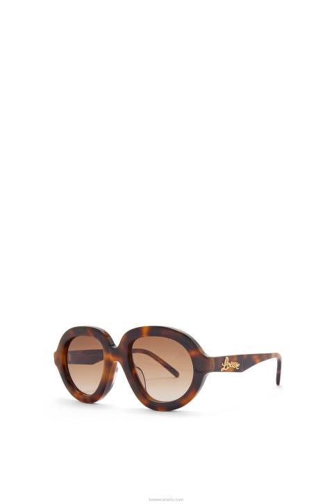 Loewe Aviator sunglasses in acetate 688V1487 Women Havana