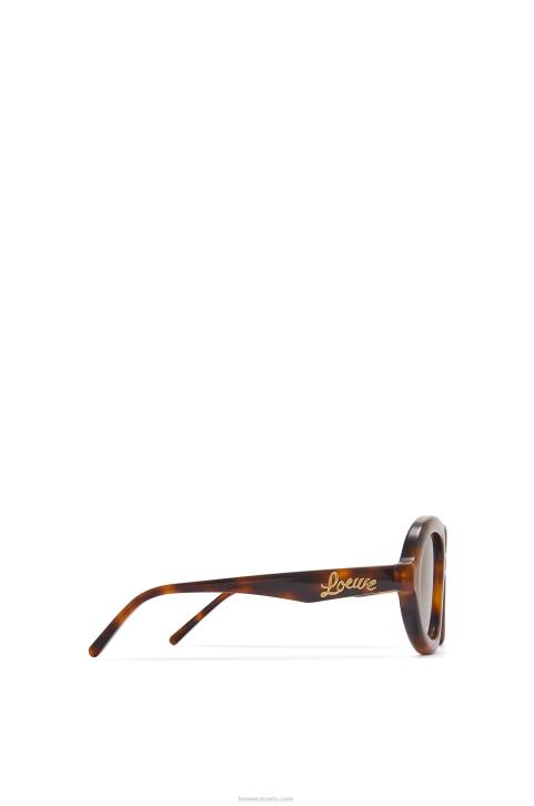 Loewe Aviator sunglasses in acetate 688V1487 Women Havana