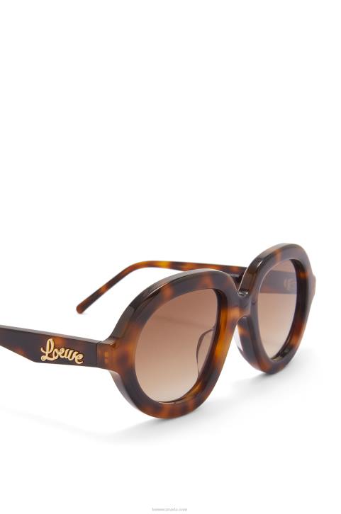 Loewe Aviator sunglasses in acetate 688V1487 Women Havana
