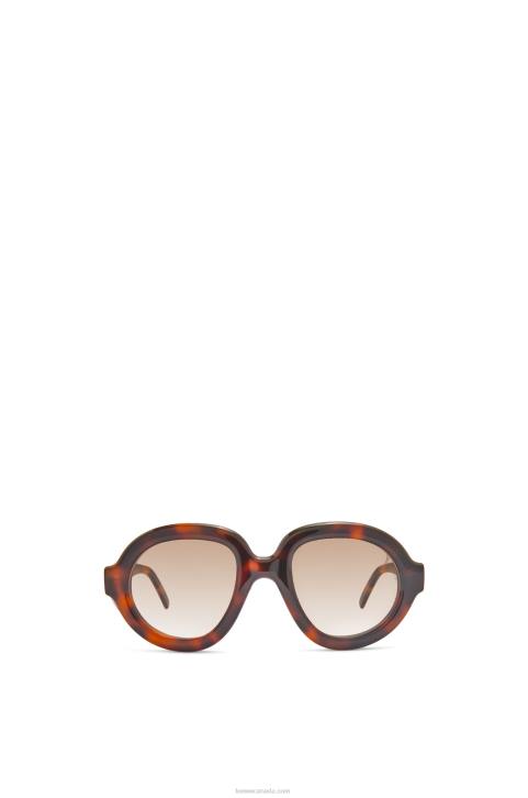 Loewe Aviator sunglasses in acetate 688V1489 Women Havana