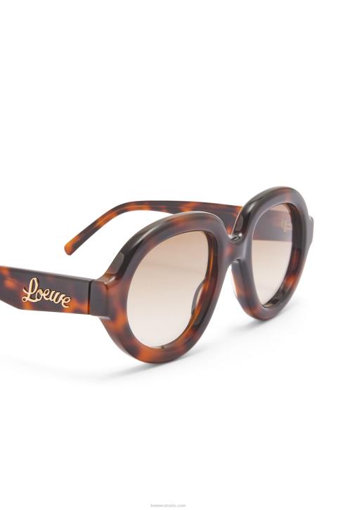 Loewe Aviator sunglasses in acetate 688V1489 Women Havana