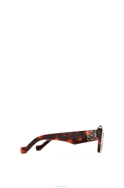 Loewe Cateye sunglasses in acetate 688V1480 Women Brown Havana