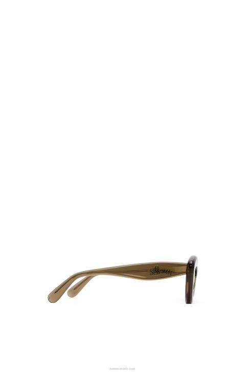 Loewe Cateye sunglasses in acetate 688V1498 Women Brown Green