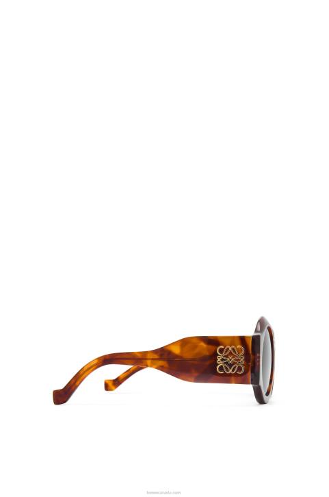 Loewe Curved sunglasses in acetate 688V1441 Women Flamed Havana
