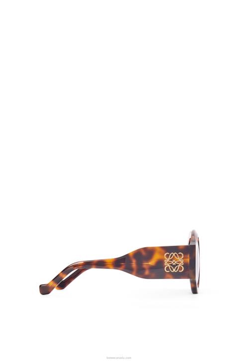 Loewe Curved sunglasses in acetate 688V1444 Women Shiny Classic Havana