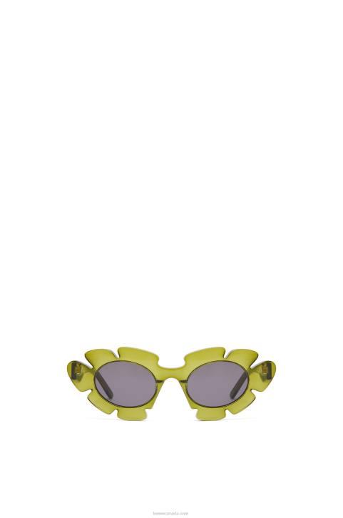 Loewe Flower sunglasses in injected nylon 688V1462 Women Cactus Green