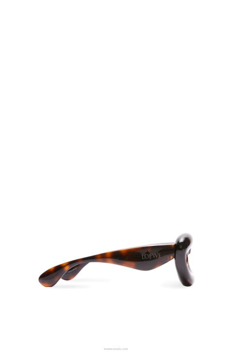 Loewe Inflated cateye sunglasses in nylon 688V1422 Women Havana