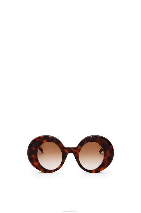 Loewe Oversized round sunglasses in acetate 688V1492 Women Havana