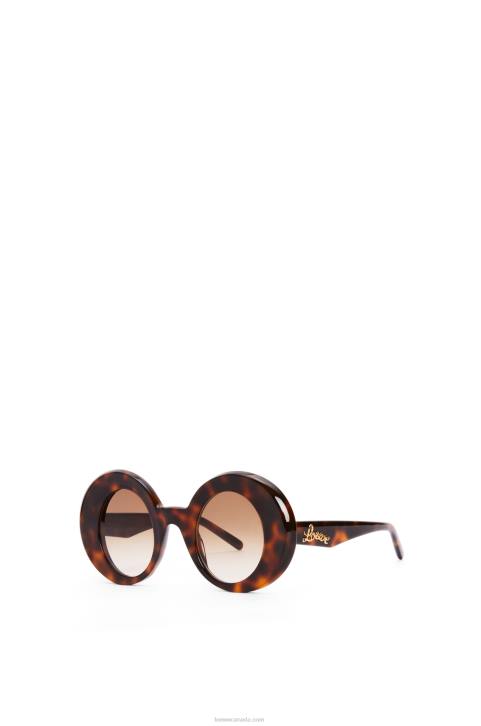 Loewe Oversized round sunglasses in acetate 688V1492 Women Havana