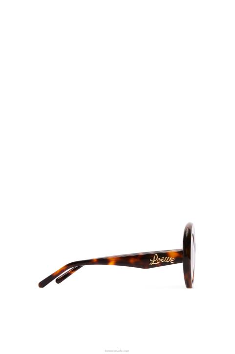 Loewe Oversized round sunglasses in acetate 688V1492 Women Havana