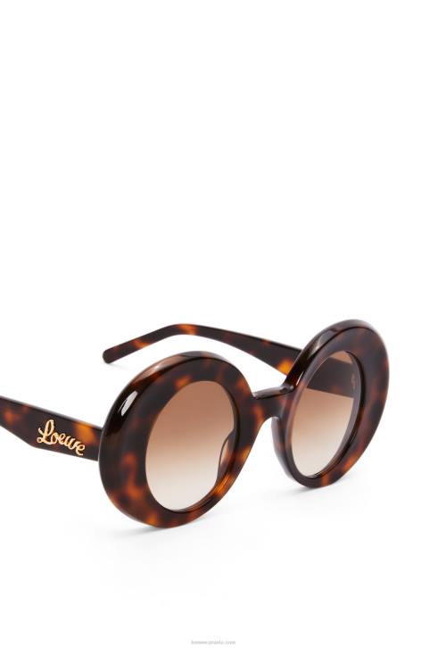 Loewe Oversized round sunglasses in acetate 688V1492 Women Havana