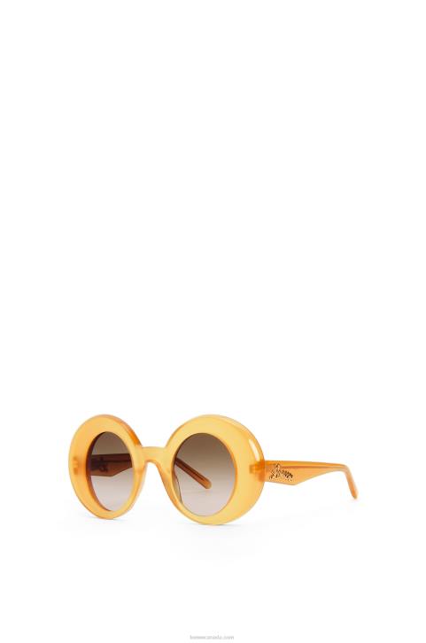 Loewe Oversized round sunglasses in acetate 688V1502 Women Honey