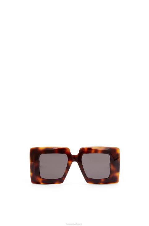 Loewe Oversized square sunglasses in acetate 688V1491 Women Havana