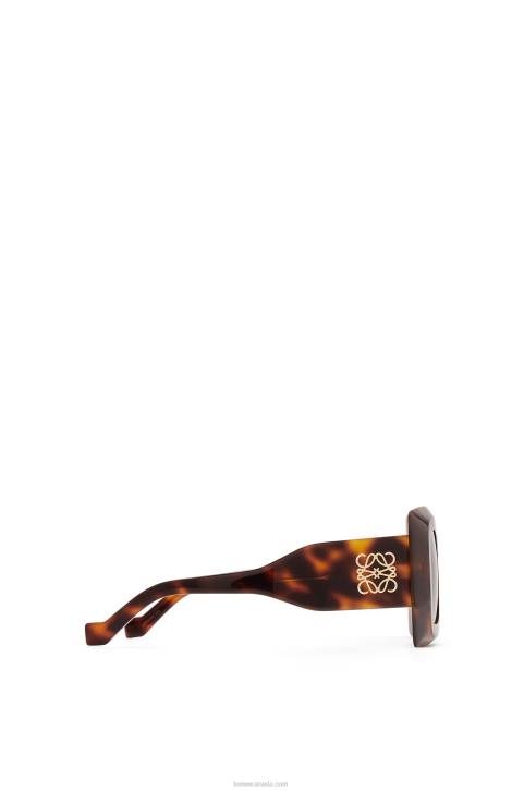 Loewe Oversized square sunglasses in acetate 688V1491 Women Havana