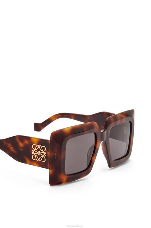 Loewe Oversized square sunglasses in acetate 688V1491 Women Havana