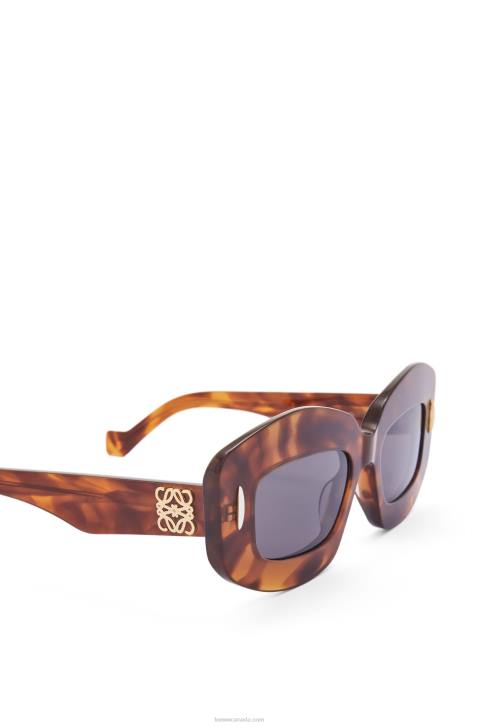 Loewe Screen sunglasses in acetate 688V1432 Women Flamed Havana