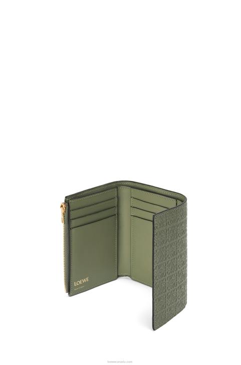Loewe Repeat small vertical wallet in embossed silk calfskin 688V1279 Women Avocado Green