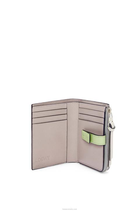 Loewe Slim zip bifold wallet in soft grained calfskin 688V1251 Women Pearl Grey/Light Pale Green