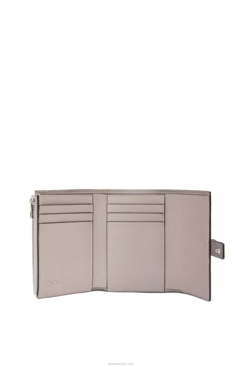 Loewe Small vertical wallet in soft grained calfskin 688V1252 Women Pearl Grey/Light Pale Green