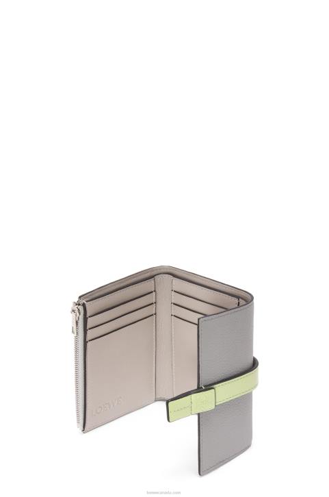 Loewe Small vertical wallet in soft grained calfskin 688V1252 Women Pearl Grey/Light Pale Green