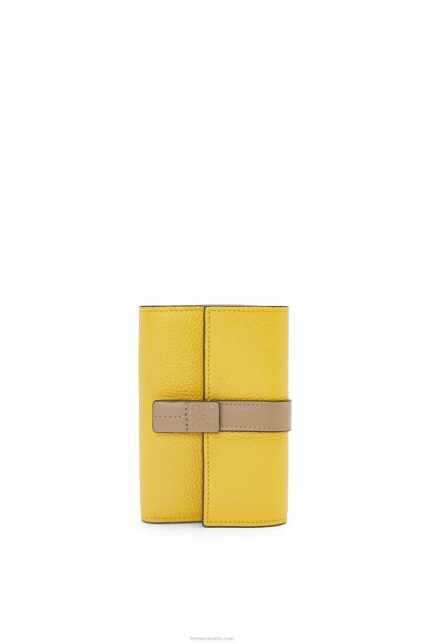 Yellow/Clay Green