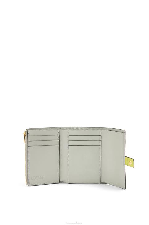 Loewe Small vertical wallet in soft grained calfskin 688V1310 Women Lime Yellow/Avocado Green