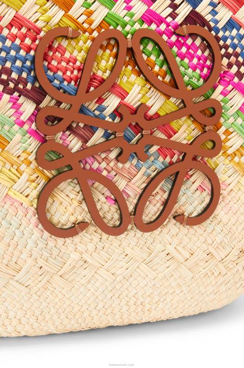 Loewe Anagram Basket bag in rainbow iraca palm and calfskin 688V106 Women Multicolor/Tan