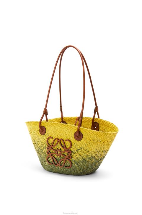 Loewe Small Anagram Basket bag in iraca palm and calfskin 688V64 Women Khaki Green/Yellow