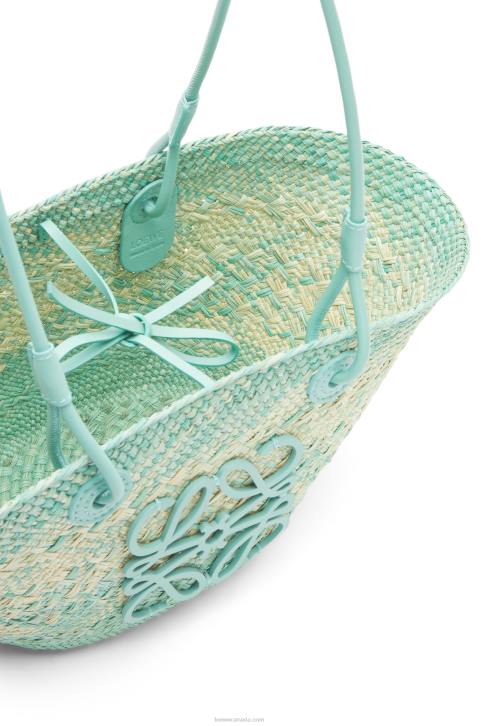 Loewe Small Anagram basket bag in iraca palm and calfskin 688V110 Women Fresh Mint