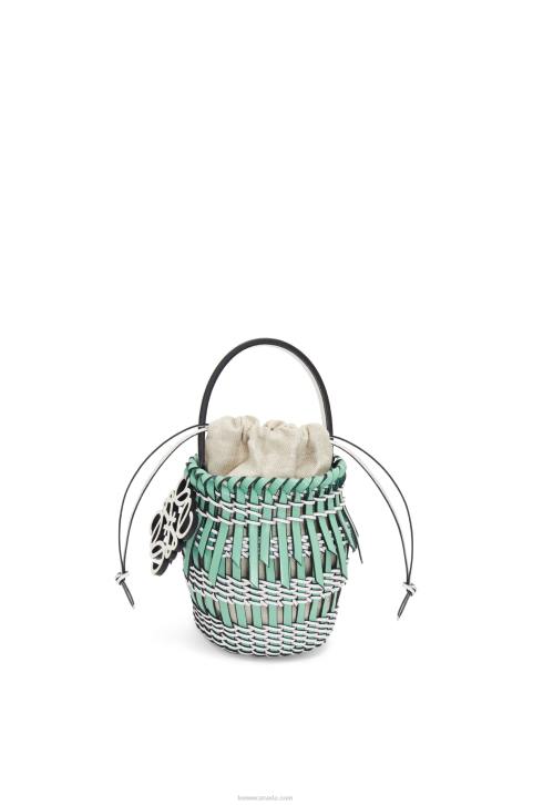Loewe Small Fringe Bucket bag in calfskin 688V87 Women Fresh Mint/Soft White