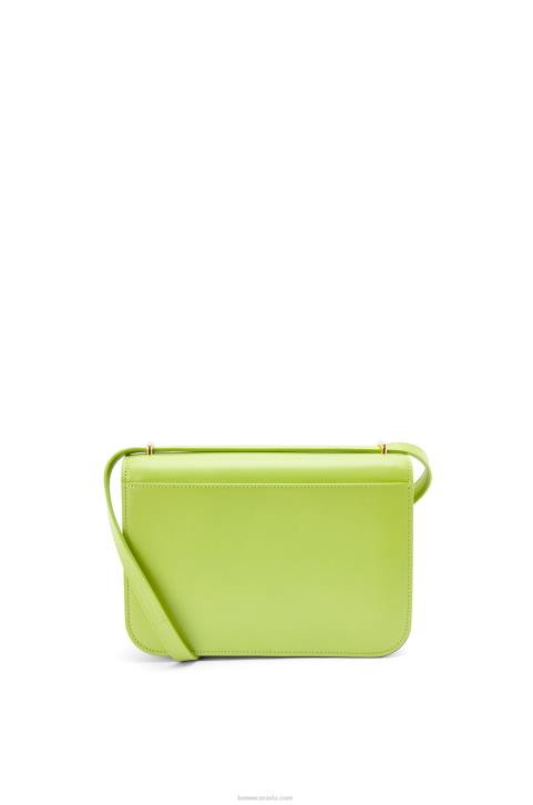 Loewe Goya bag in silk calfskin 688V509 Women Green Bean