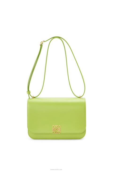 Loewe Goya bag in silk calfskin 688V509 Women Green Bean