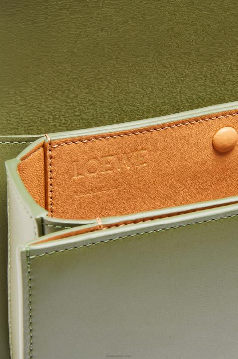 Loewe Small Goya bag in silk calfskin 688V307 Women Avocado Green