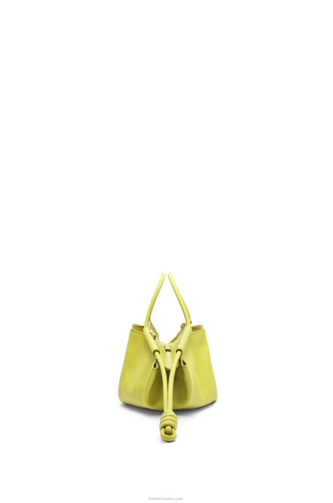 Loewe Small Paseo bag in shiny nappa calfskin 688V419 Women Lime Yellow