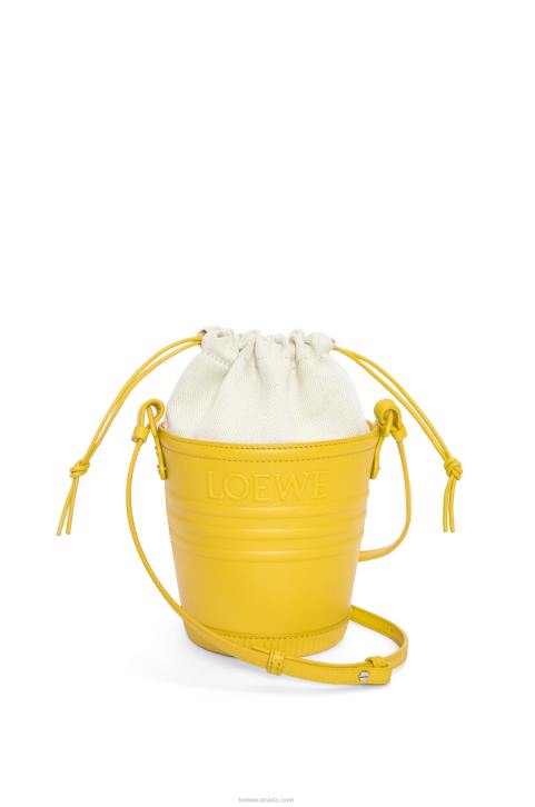 Loewe Jardinier pocket in calfskin 688V230 Women Yellow