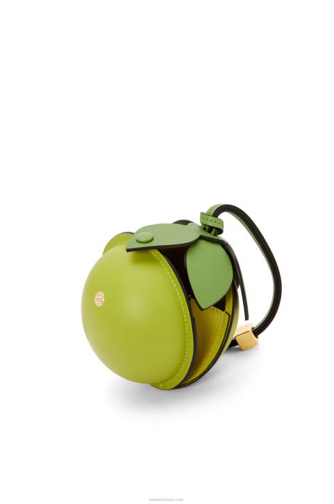 Loewe Lime pouch in classic calfskin 688V585 Women Meadow Green