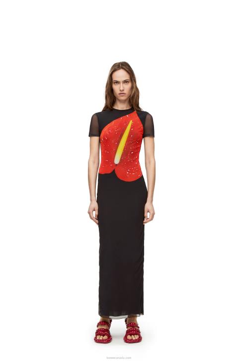 Loewe Anthurium dress in semi sheer mesh 688V1066 Women Black/Red
