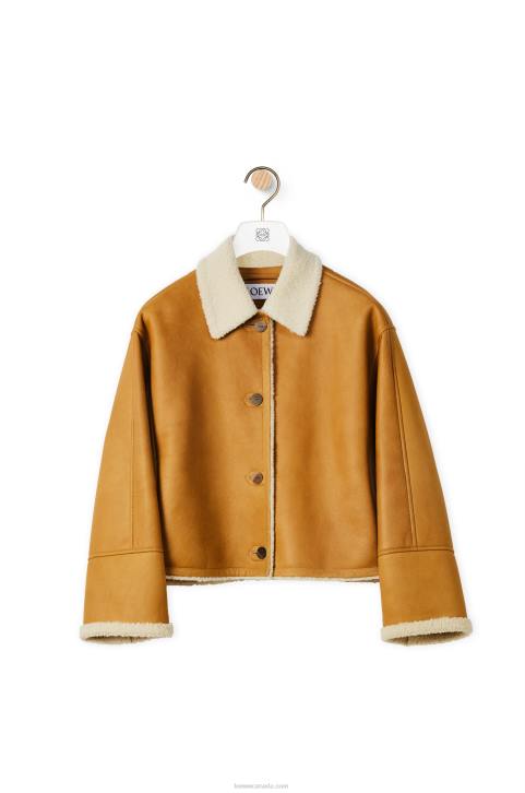 Loewe Short jacket in shearling 688V1148 Women White/Camel