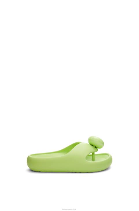 Loewe Foam Slide 688V716 Women Lime