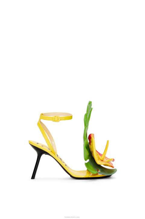 Loewe Petal sandal in lambskin 688V689 Women Acacia Yellow